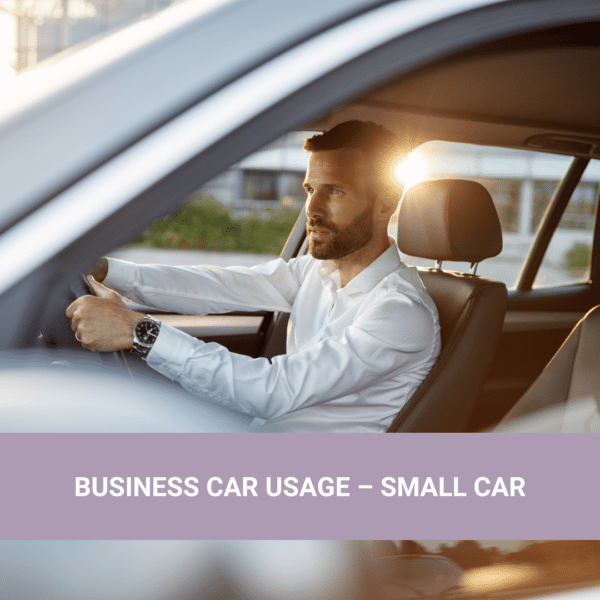 Offset Annual Business Car Usage - small car