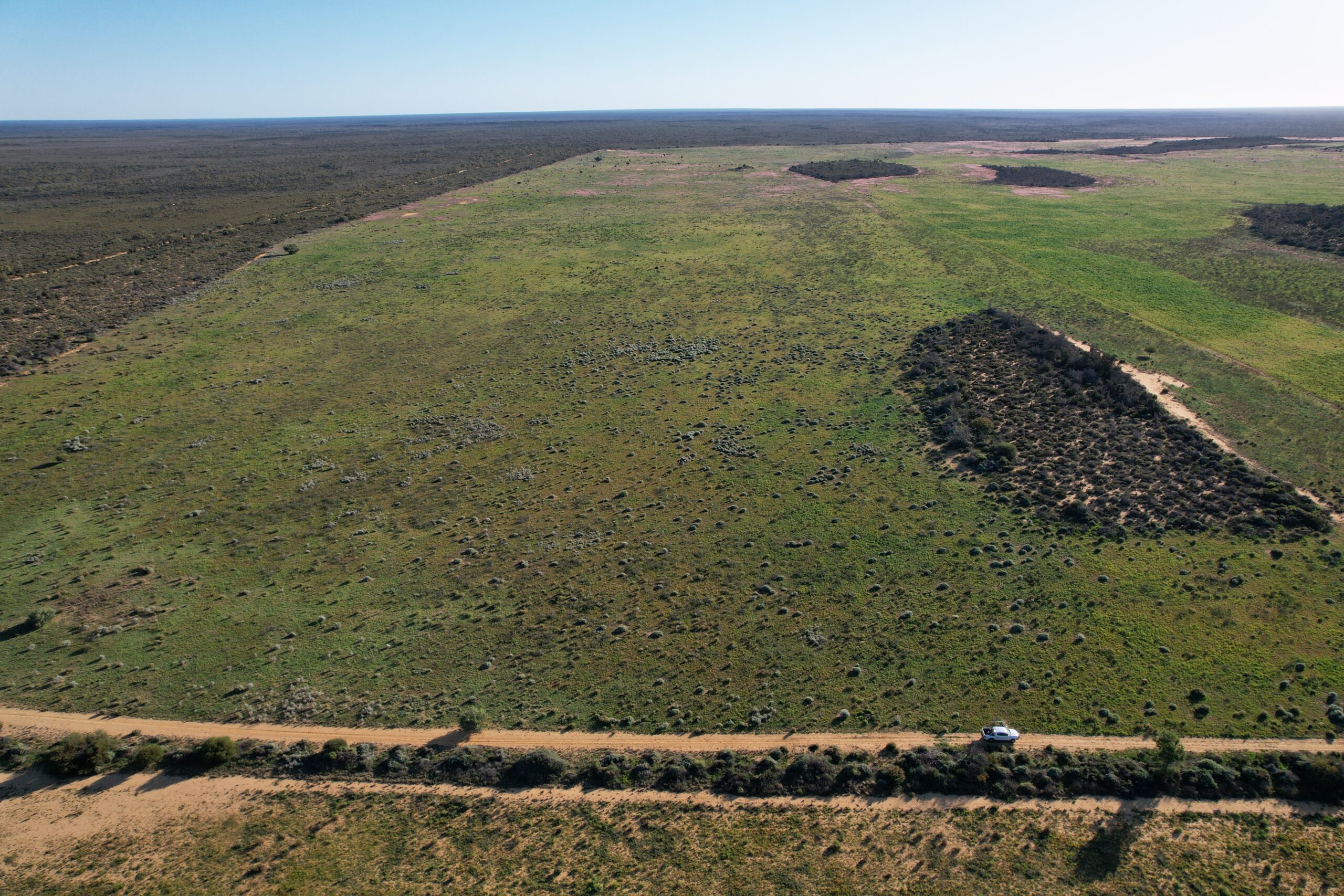 Drone photo of cleared paddocks with remnant bush on the left hand side