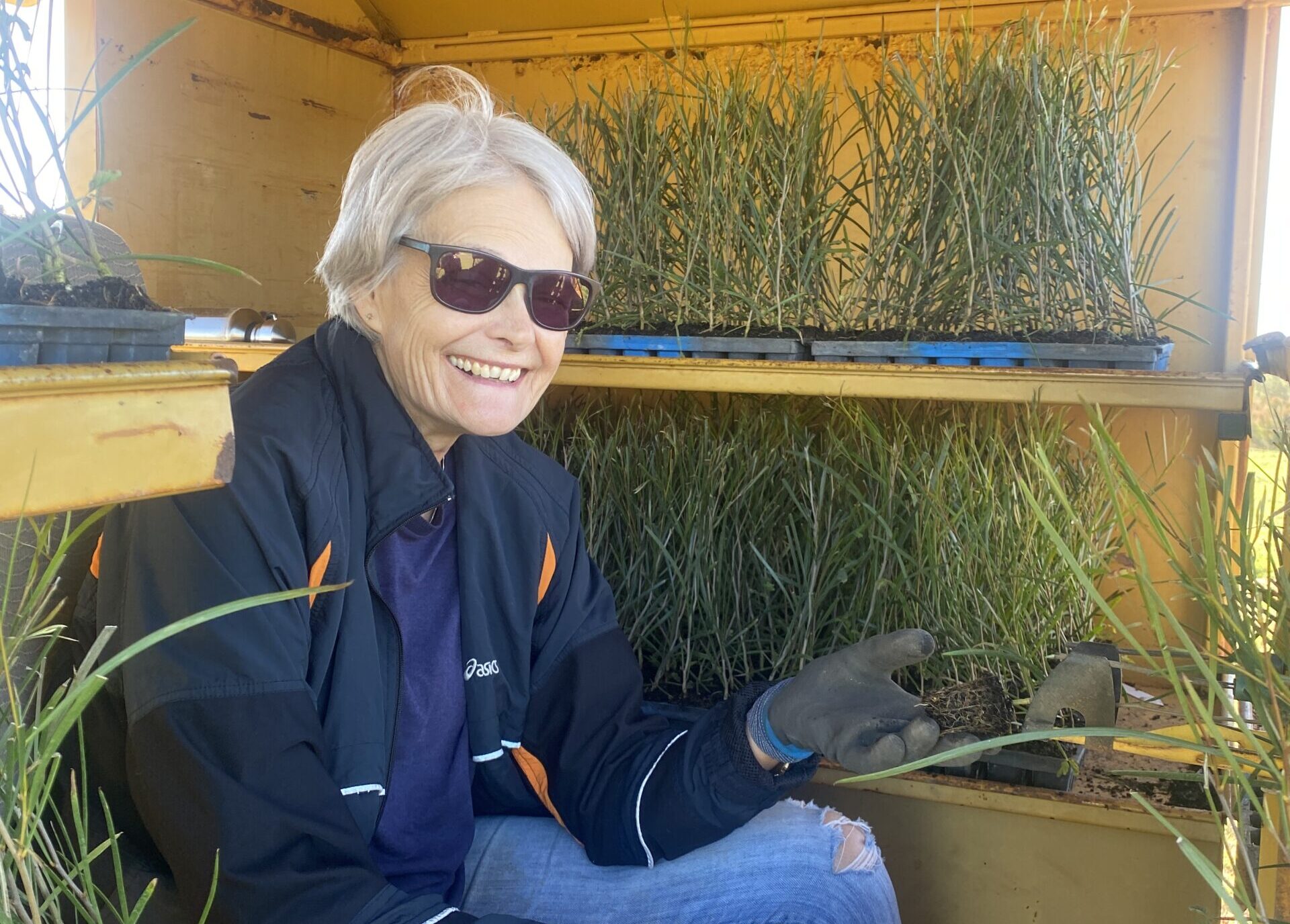 Person sitting in a tree planting machine surrounded by seedlings