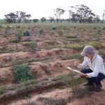 Women crouching next to planting rows holding a clipboard.