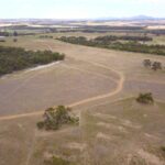 Drone photo of agricultural land with some remnant trees