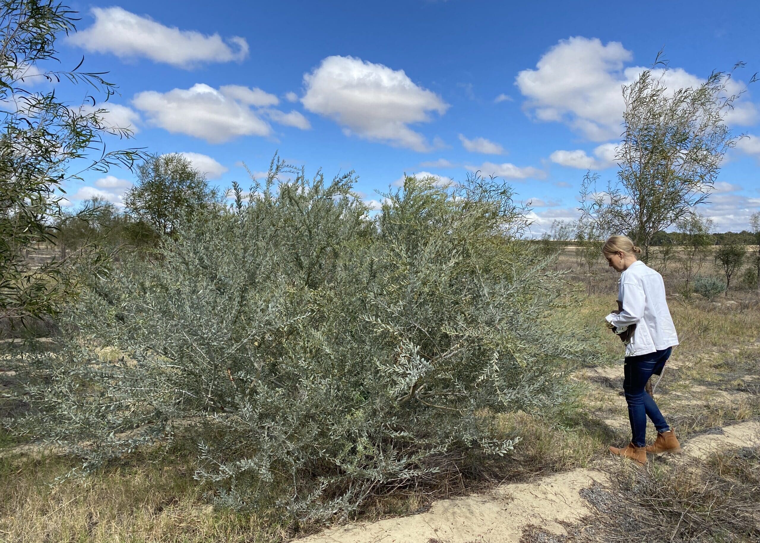 Woman standing next to bushy native shrub