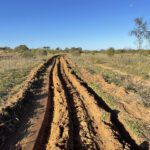 Ripped planting line in yellow soil