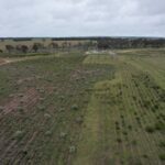 Drone photo of very green planting site
