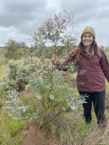 Woman holding the stem of a small tree