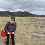 Lady holding a tree planting device and a bucket of seedlings with mountain range in the background