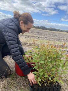 Lady filling up a bucket with seedlings from a tray on the ground