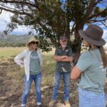 Three people standing under a tree on a grassy paddock