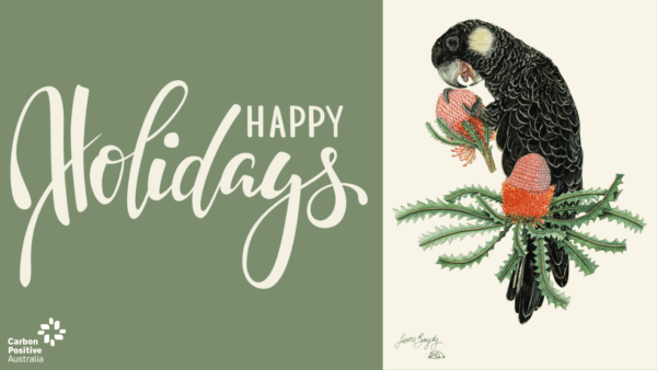 Original Carnaby's Black Cockatoo and Acorn Banksia illustration painted by Sami Bayly for a holiday ecard with donation.