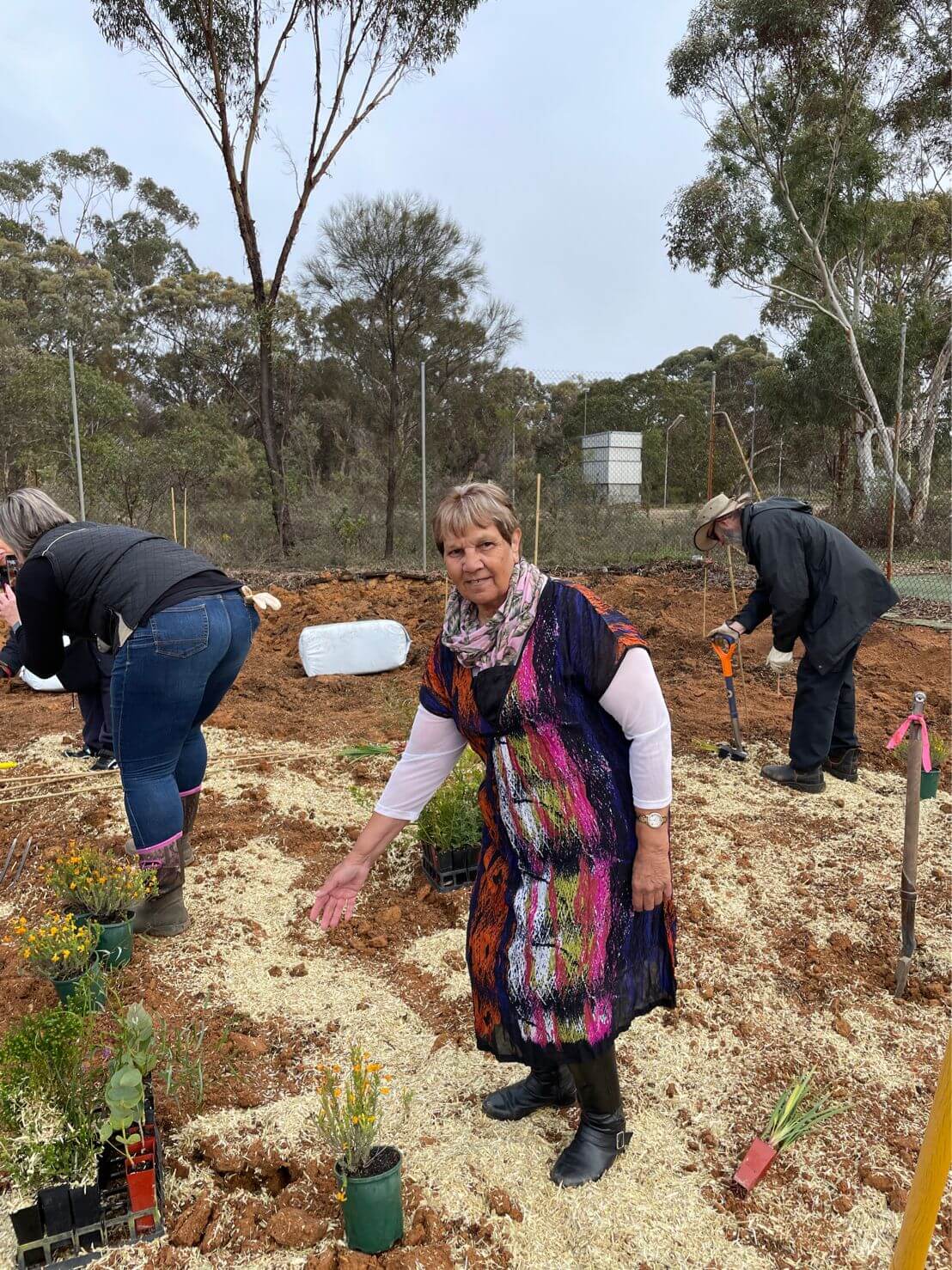 Local volunteers helping to plant seedlings.
