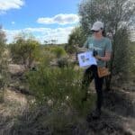 Woman identifying tree species in planting row