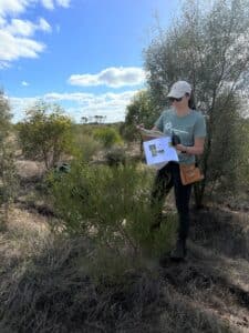 Woman identifying tree species in planting row