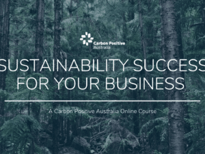 Business Sustainability Course