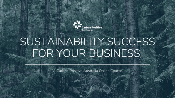 Business Sustainability Course