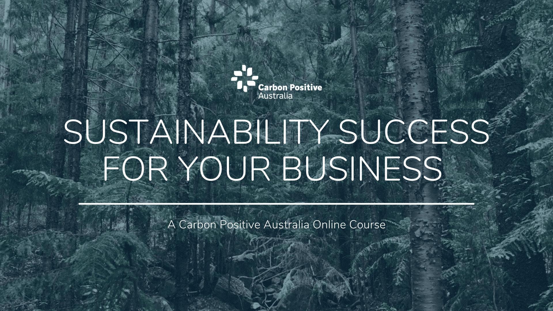 Business Sustainability & Net Zero | Carbon Positive Australia