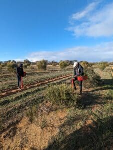 People on site for infill planting at Bencubbin