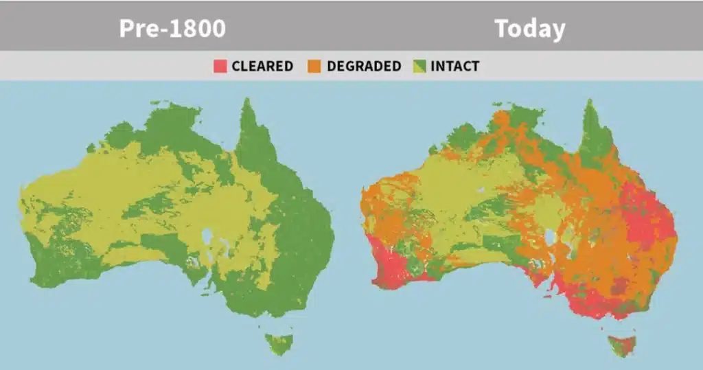 Map of the cleared area of Australia