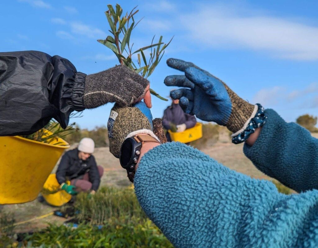 Plant the seed partnerships