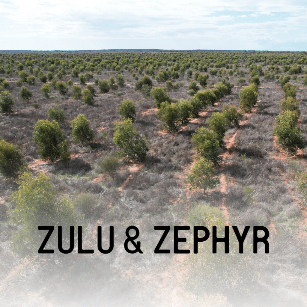Zulu & Zephyr partnership with Carbon Positive Australia