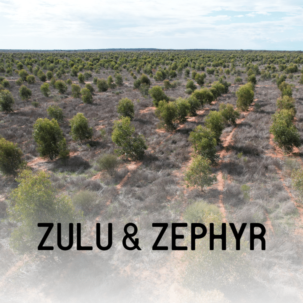 Zulu Zephyr Partnership | Carbon Positive Australia