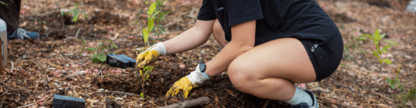 Plant The Seed Partnership