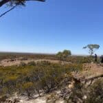 View looking from a rocky outcrop over native woodlands