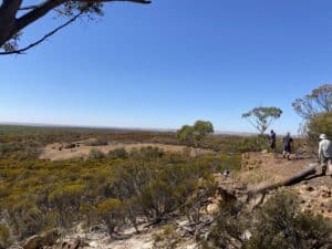 View looking from a rocky outcrop over native woodlands