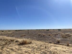 cleared dry and sandy area with low weeds