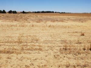 Cleared area of land with sandy yellow soil