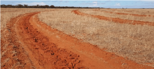 ripped line in red dirt paddock