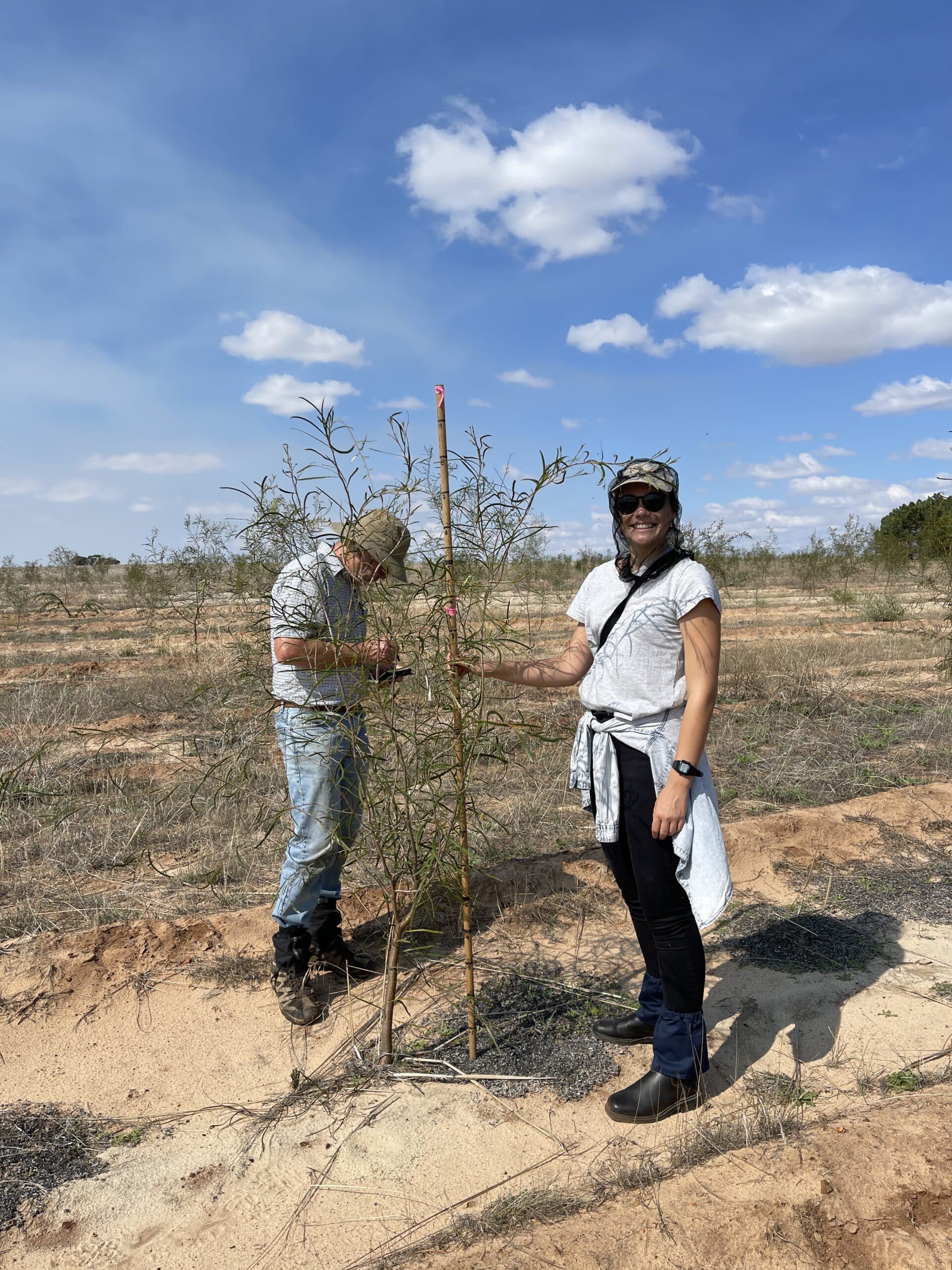 Women smiling next to an Acacia acuminata plant holding a measuring stick with a man behind the plant looking down at a phone in his hand