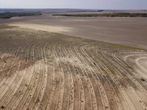 Aerial view of some of the planting rows.