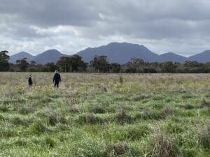 Two people walking in a field with mountain ranges and trees in the background