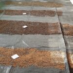 seeds organise and spread across a black sheet on a table