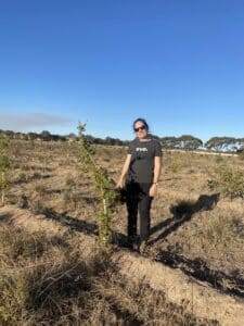 Woman standing next to a Melaleuca cuticularis ('Saltwater paperbark') growing in a planting row