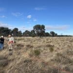 Man with his hand up directing a women holding a rope across a paddock with dry weeds