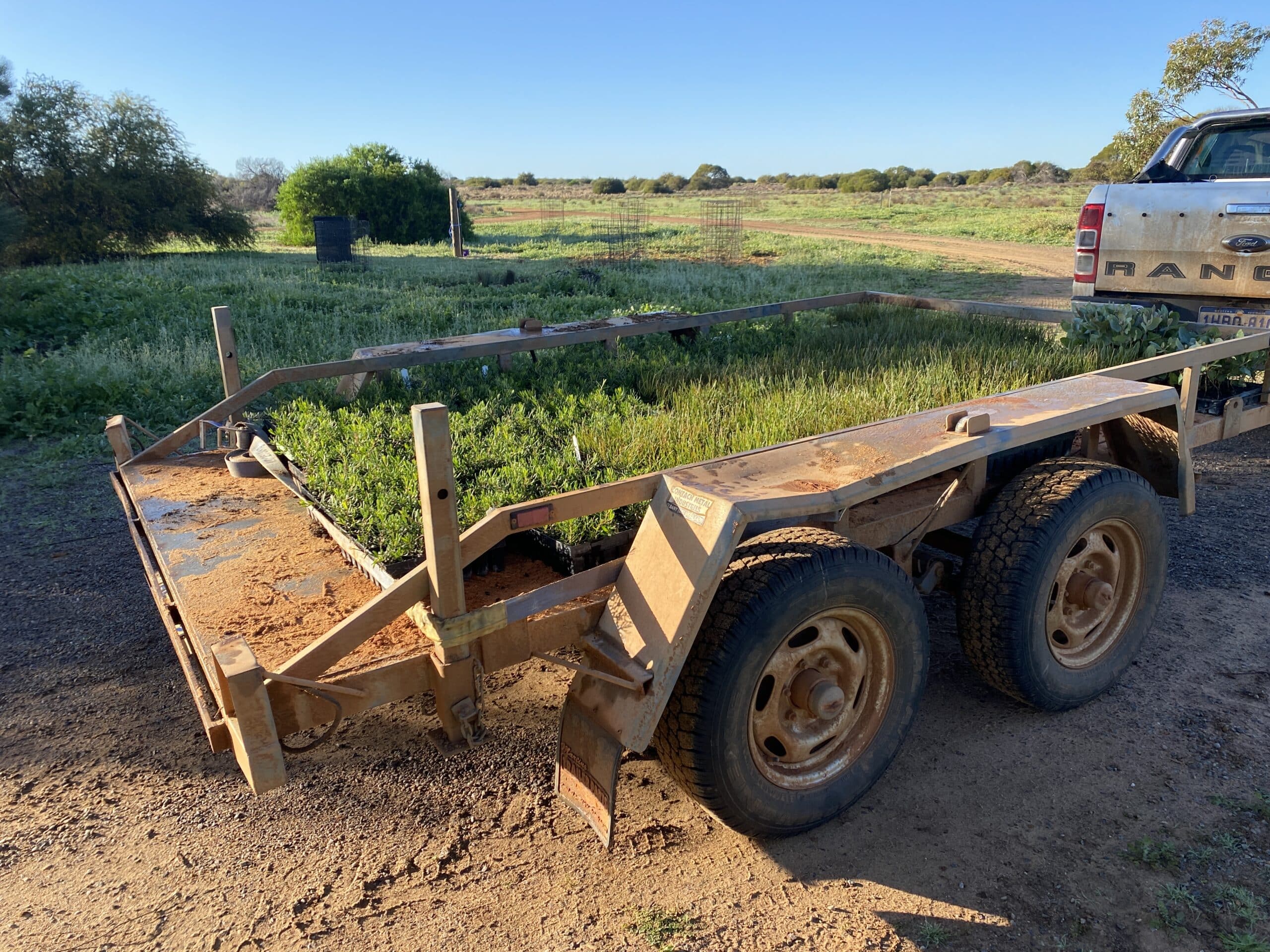 Seedlings trays on the back of a trailer