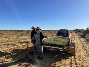 Man and woman standing next to a trailer full of seedlings