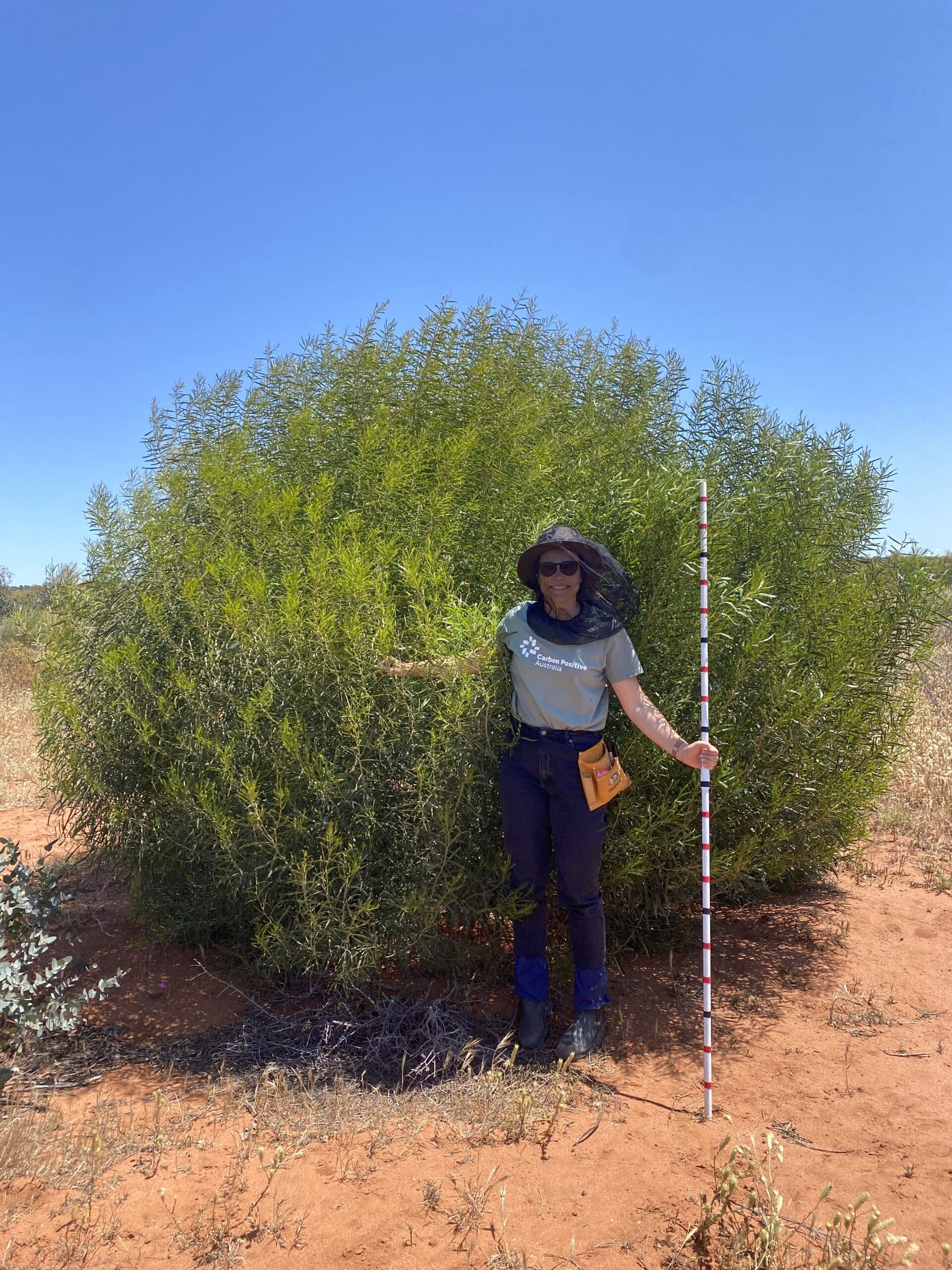 Woman standing in front of a bushy tree