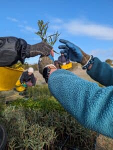 seedlings being handed from one person to another.