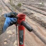 Hand holding a seedlings next to a seedling planter in planting rows