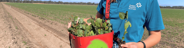 Carbon Positive Solutions Pack - yearly 0-10 employees