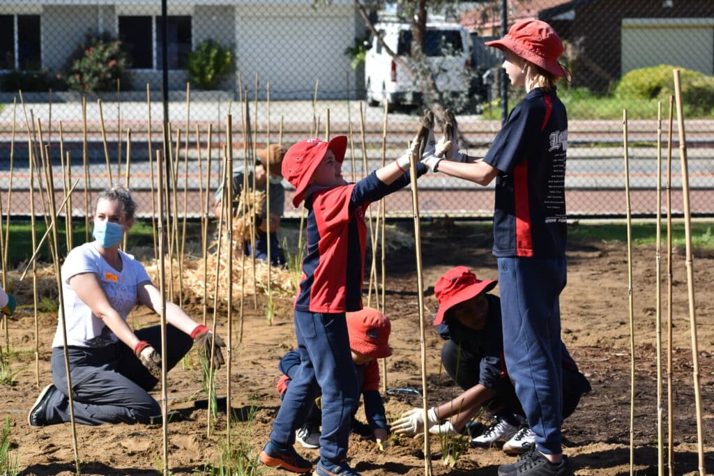 kids planting trees at school