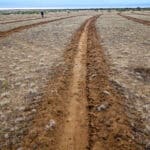 Close up of a line ripped through sandy brown soil