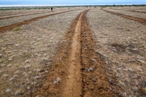 Close up of a line ripped through sandy brown soil