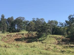 Landslips caused by catastrophic flooding in March 2022 in Nimbin