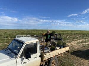 Man standing on the back of a ute tray holding a tray of seedlings