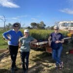 Three women standing and smiling next to a ute tray full of seedlings.