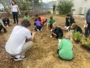 Kids and teachers standing and crouching in planting area, planting seedlings in the ground