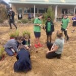 Kids and teachers standing and crouching in planting area, planting seedlings in the ground